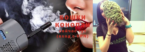 PSILOCYBIN Нягань