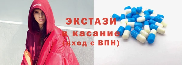 гидра Няндома