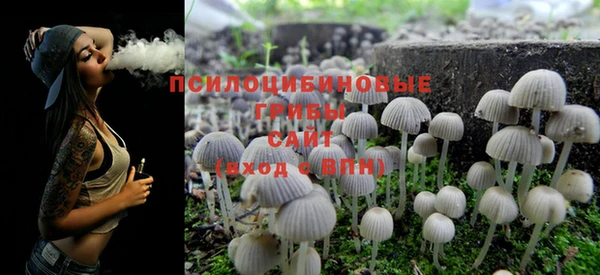 тгк Новокубанск